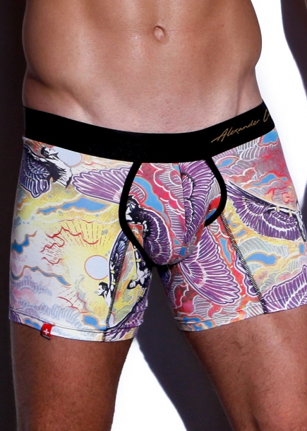 Silly-boxerkalsong-boxer-bl-tryck-Alexander-Cobb-PXC-Underwear-underklder
